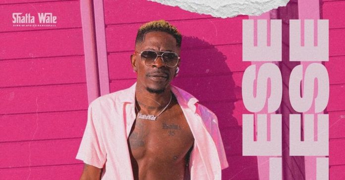 Shatta Wale Drops New Danceable Tune 