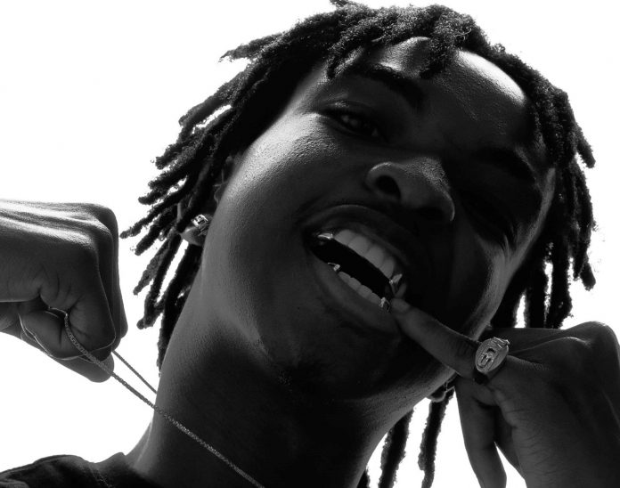 VISUALIZER: Skyface SDW - DW3 feat. Oseikrom Sikani, Pappy Kojo, Beeztrap KOTM & Jay Bahd